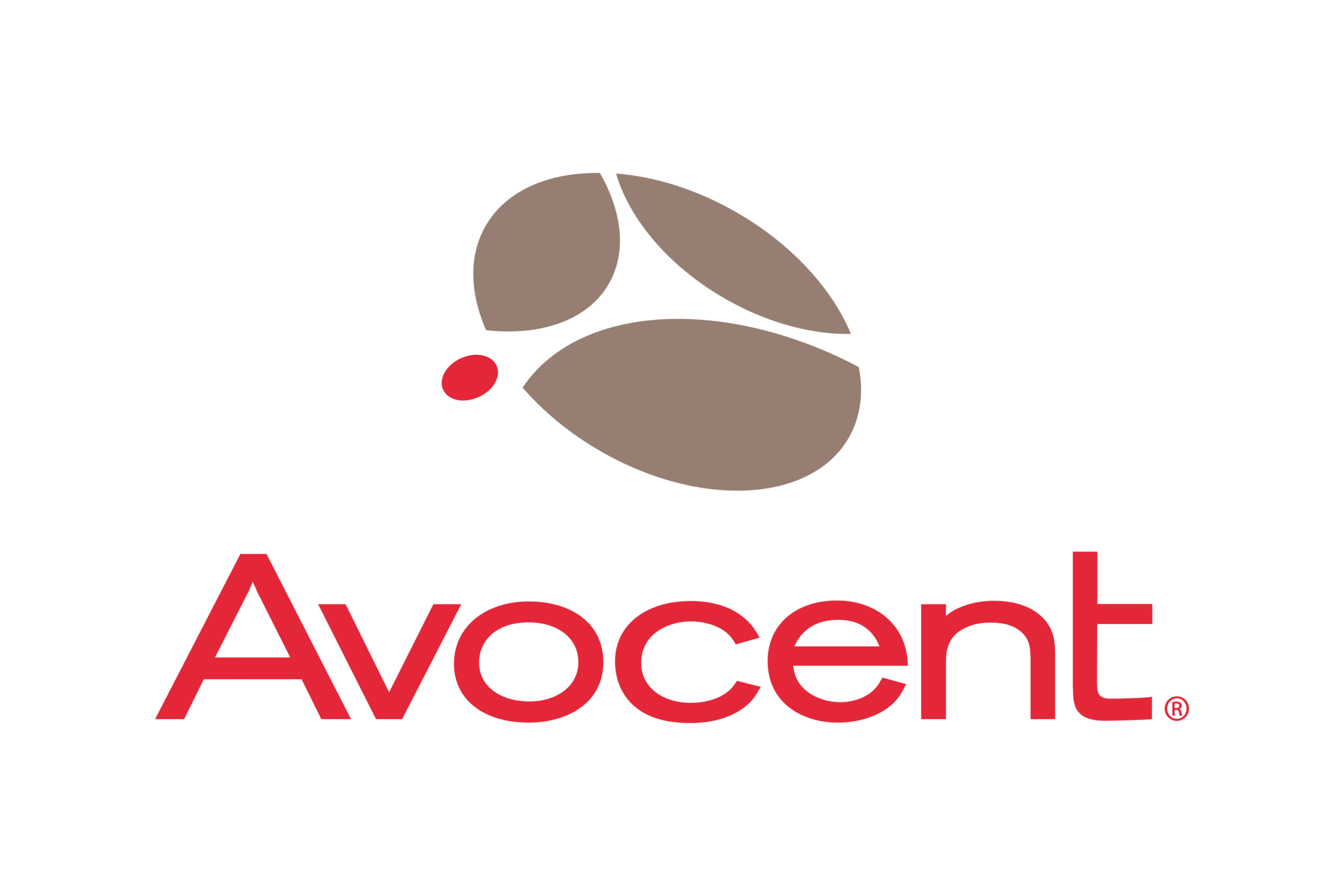 Avocent